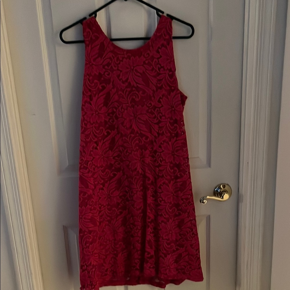 Ronni Nicole Cocktail Pink lace overlay Sundress size XL with gold zipper